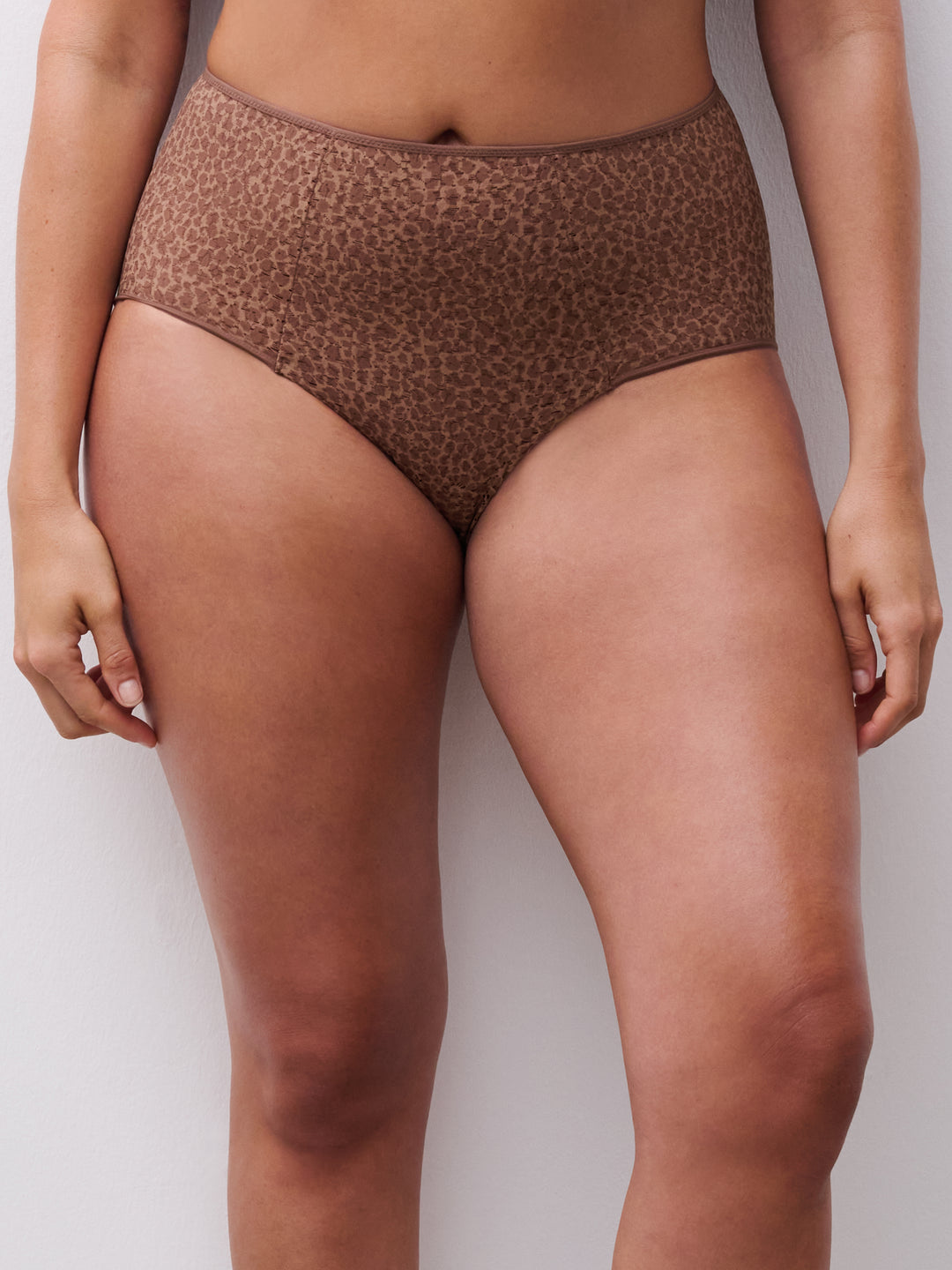 Chantelle Norah High Waist Brief in Wild Brown
