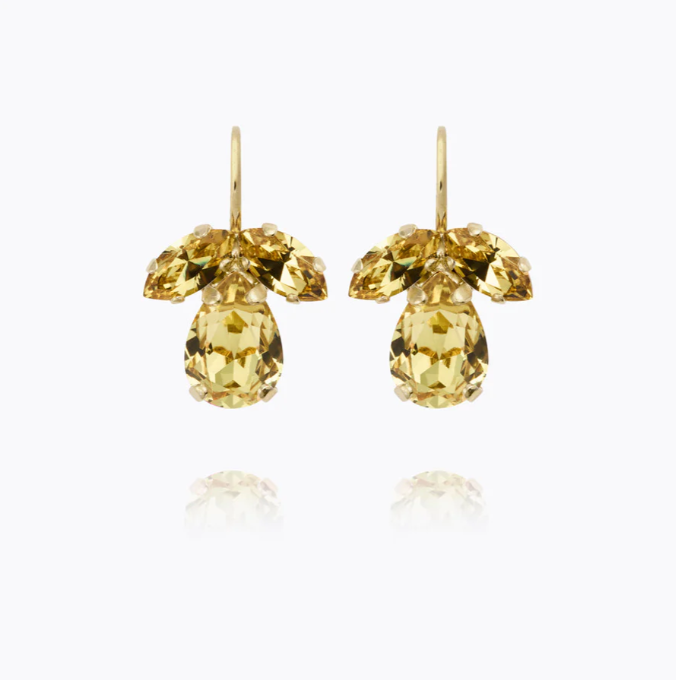 Caroline Svedbom Gold Plated Petite Timo Clasp Earrings in Dark Jonquil