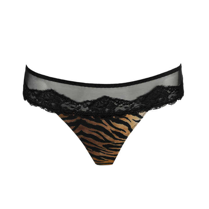 Sarda Bremer Thong in Wild
